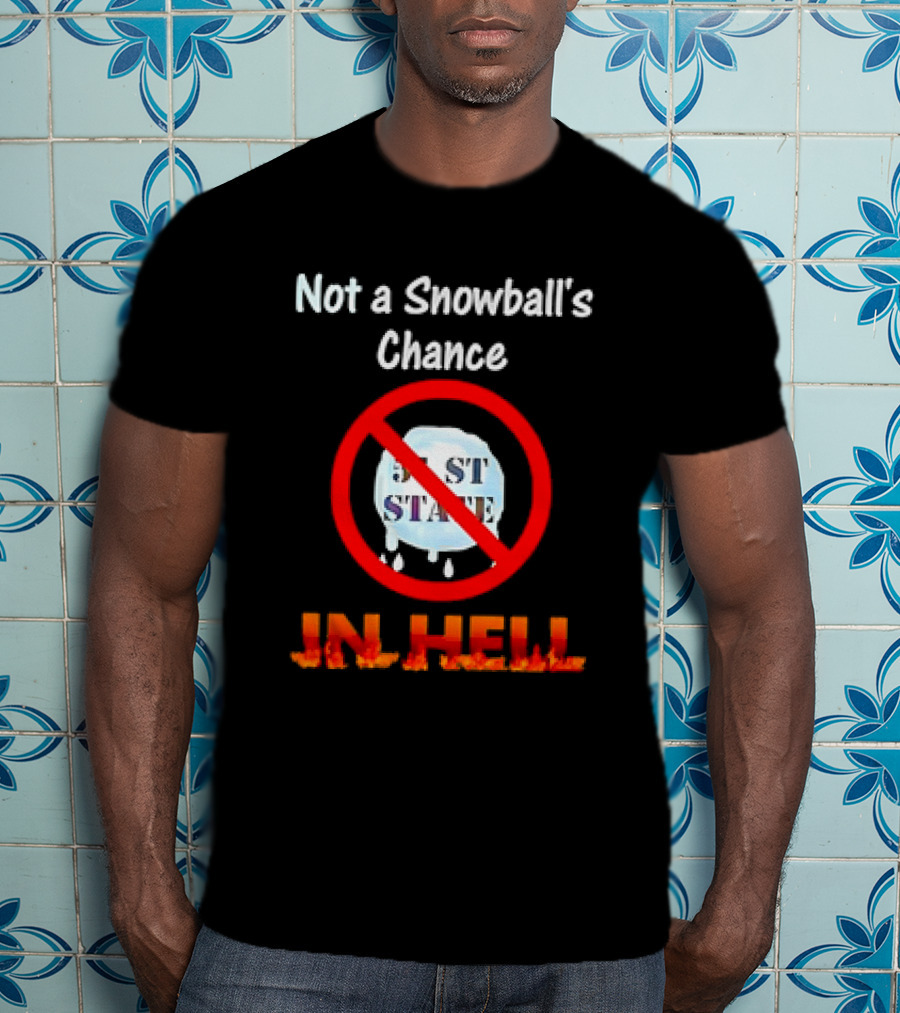Not A Snowball's Chance 51st State In Hell T-Shirt
