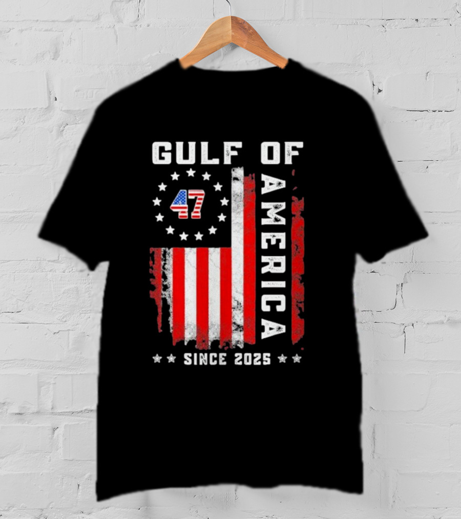 Gulf Of USA America Vintage USA Flag Grunged 2025 T-Shirt