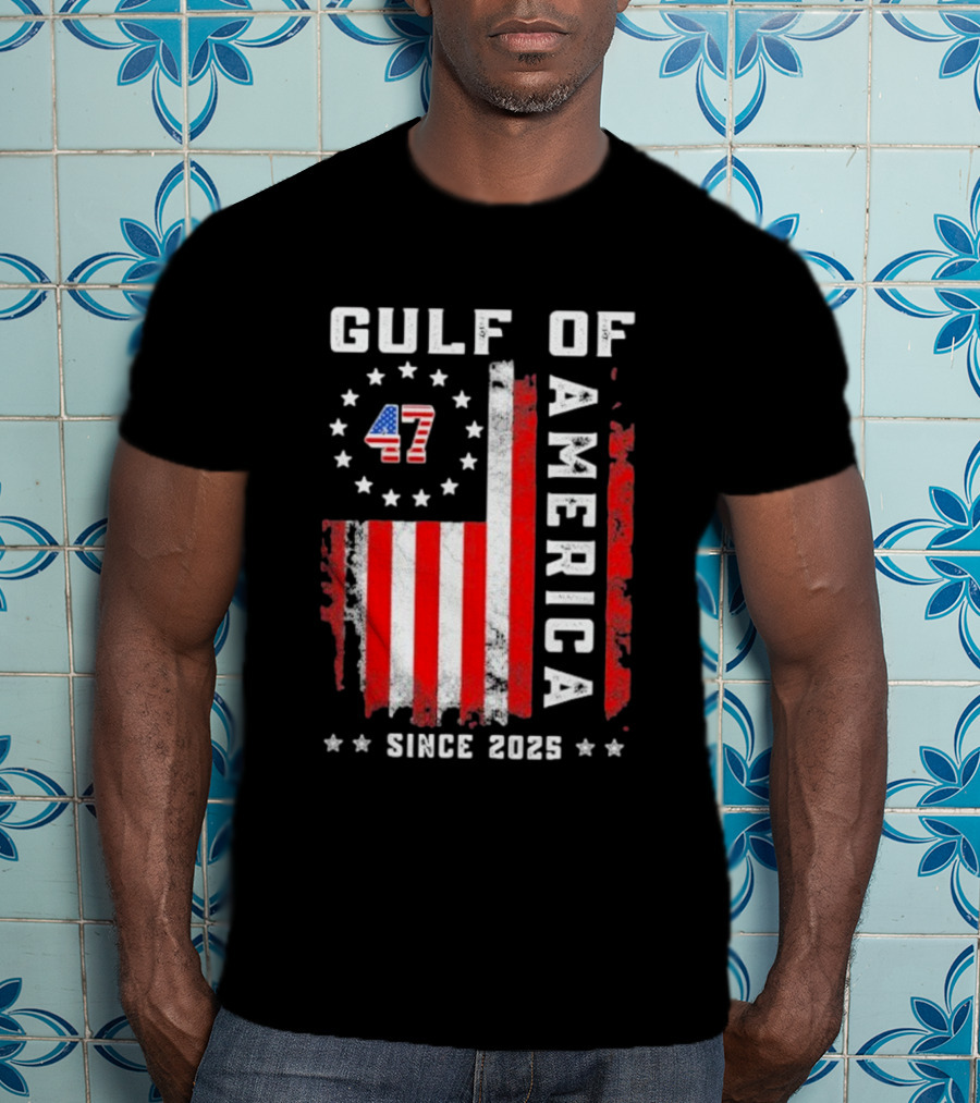 Gulf Of USA America Vintage USA Flag Grunged 2025 T-Shirt