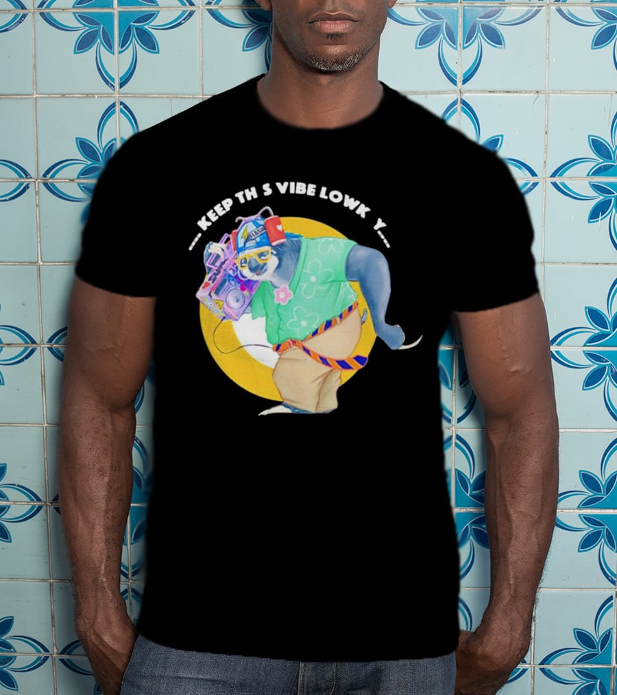 Sloth Keeping This Vibe Lowkey With Boombox And Sunglasses T-Shirt
