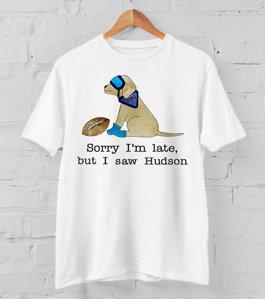 Sorry I’m Late But I Saw Hudson Dog With Football And Blue Accessories T-Shirt