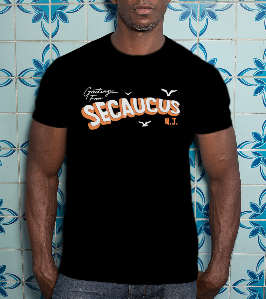 Greetings From Secaucus N.J. Vintage Postcard Style With Seagulls T-Shirt