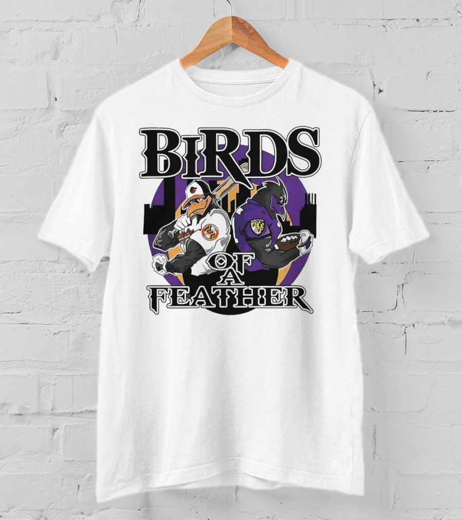 Birds Of A Feather Baltimore Ravens And Orioles T-Shirt