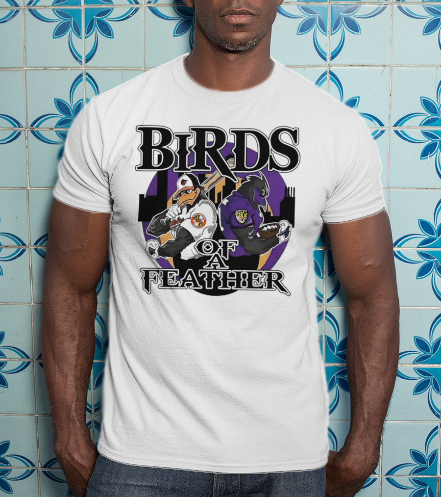 Birds Of A Feather Baltimore Ravens And Orioles T-Shirt