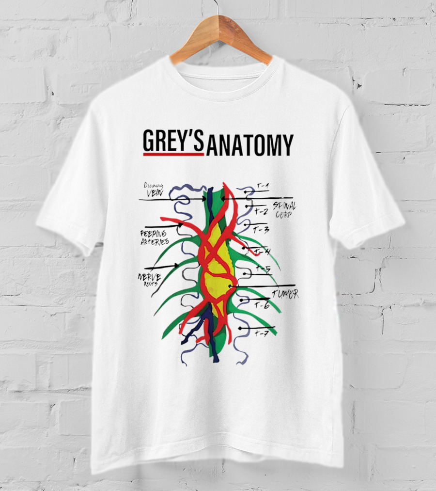 Grey’s Anatomy Drawing Vein Spinal Corp Feeding Arteries Nerve Root Tumor T-Shirt