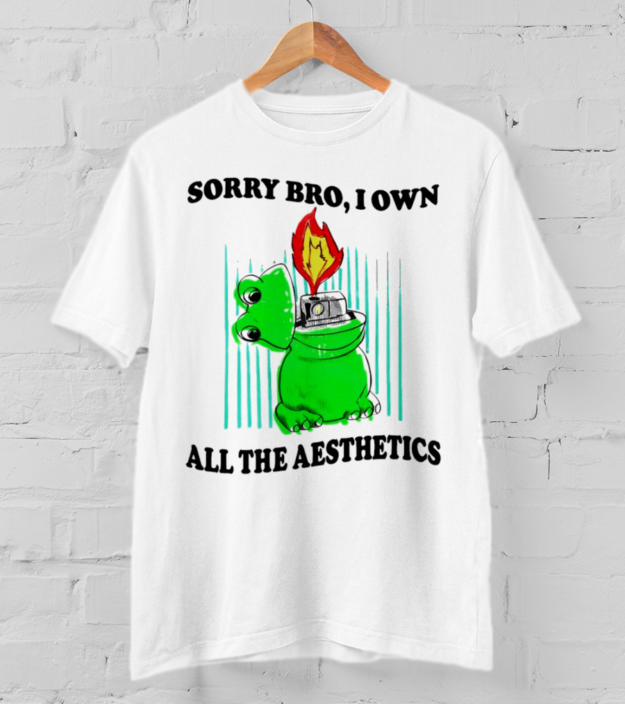Sorry Bro I Own All The Aesthetics Melting Frog Lighter Flame T-Shirt