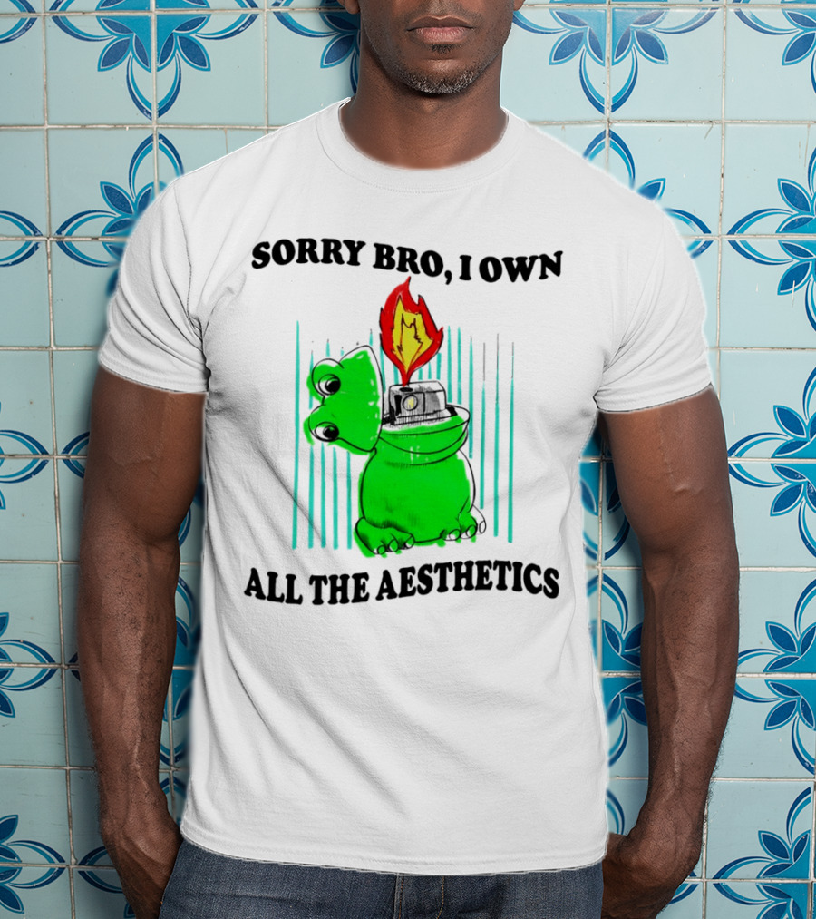 Sorry Bro I Own All The Aesthetics Melting Frog Lighter Flame T-Shirt