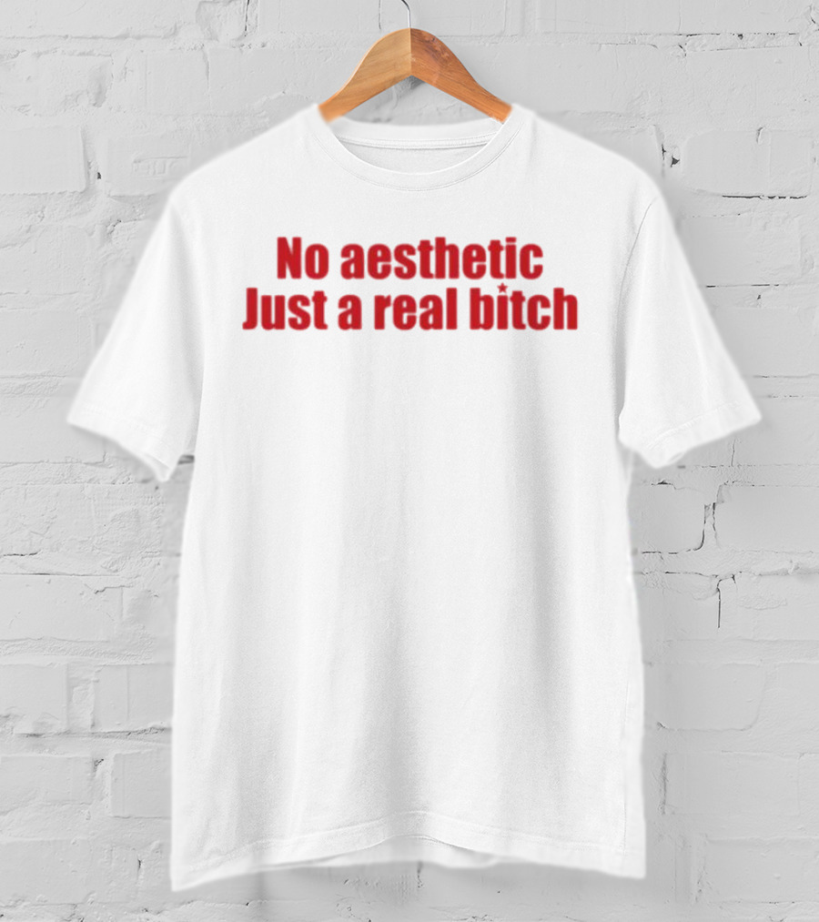No Aesthetic Just A Real Bitch Red T-Shirt