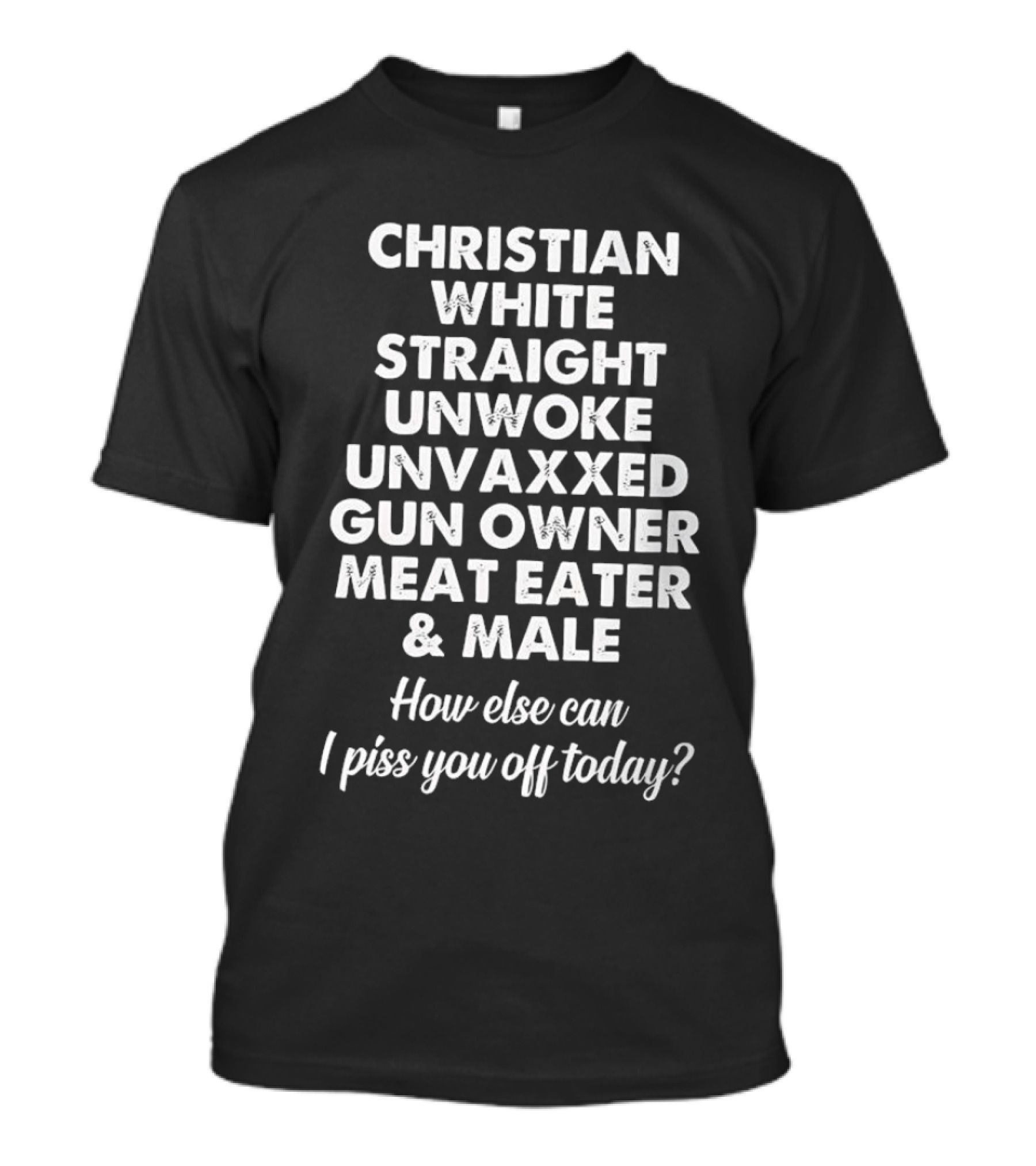 Christian White Straight Unwoke Unvaxxed Gun Owner Meat Eater Male How Else Can I Piss You Off Today T-Shirt