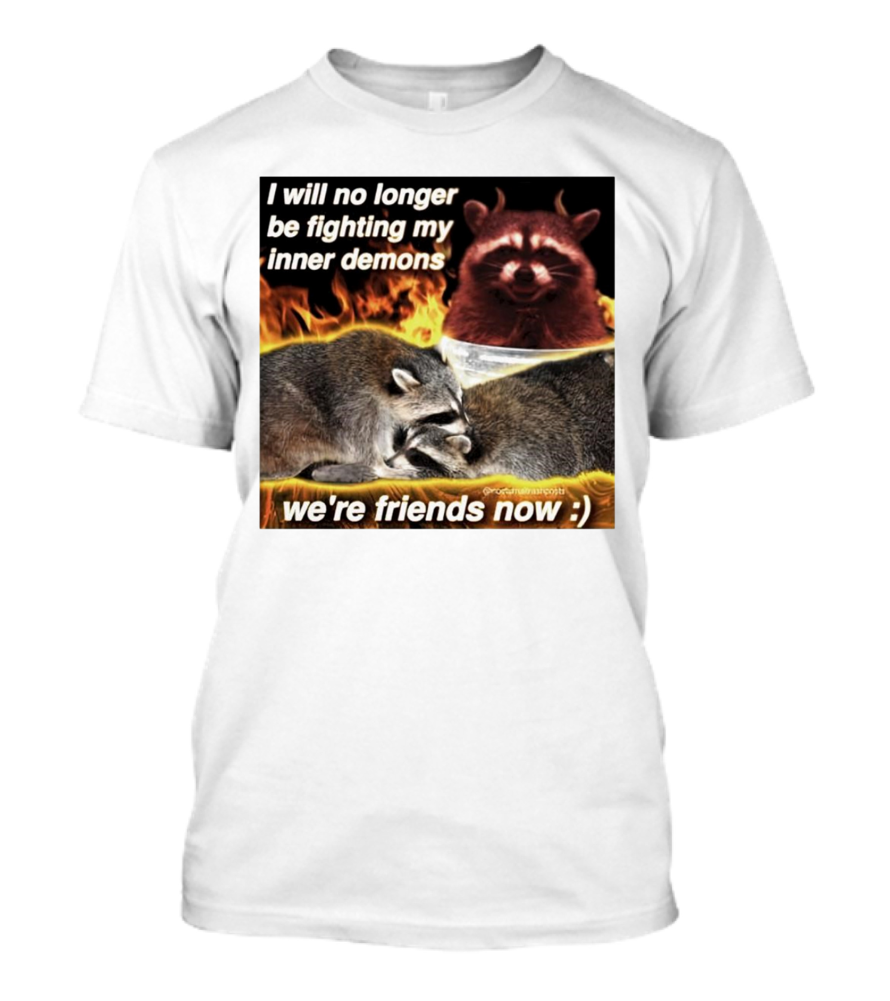 I Will No Longer Be Fighting My Inner Demons Raccoon Fire We're Friends Now T-Shirt