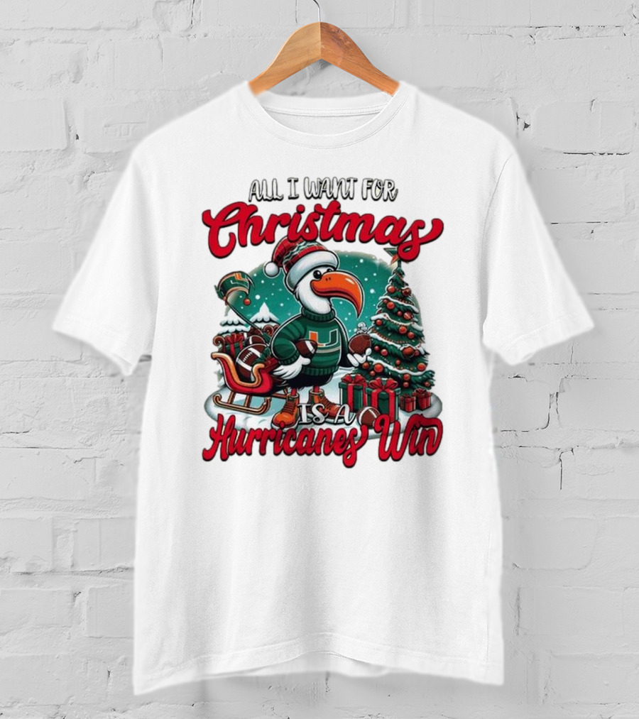 All I Want For Christmas Is A Hurricanes Win Santa Birdfest T-Shirt