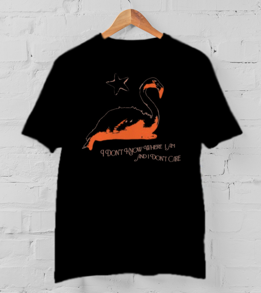 Flamingo I Don’t Know Where I Am And I Don’t Care With Star T-Shirt