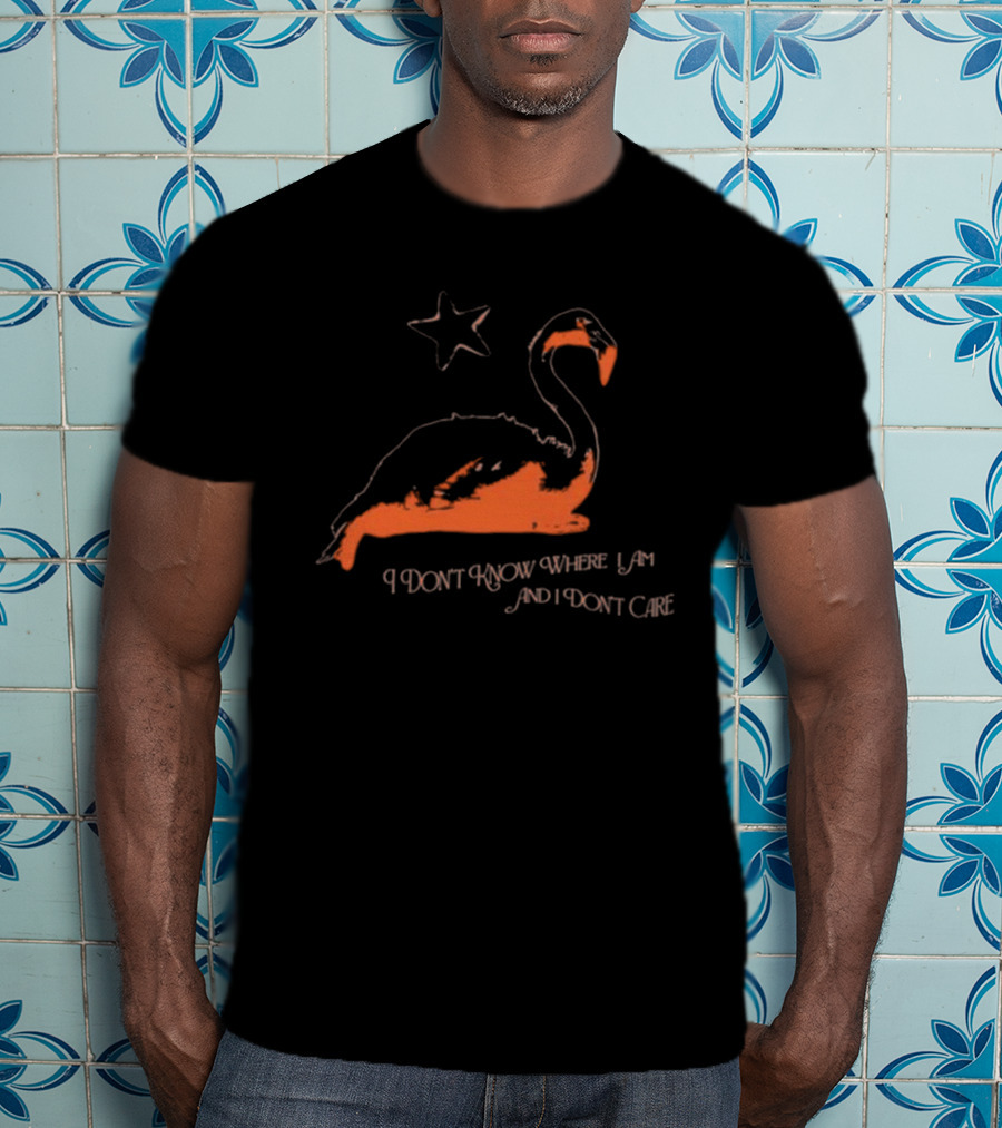 Flamingo I Don’t Know Where I Am And I Don’t Care With Star T-Shirt
