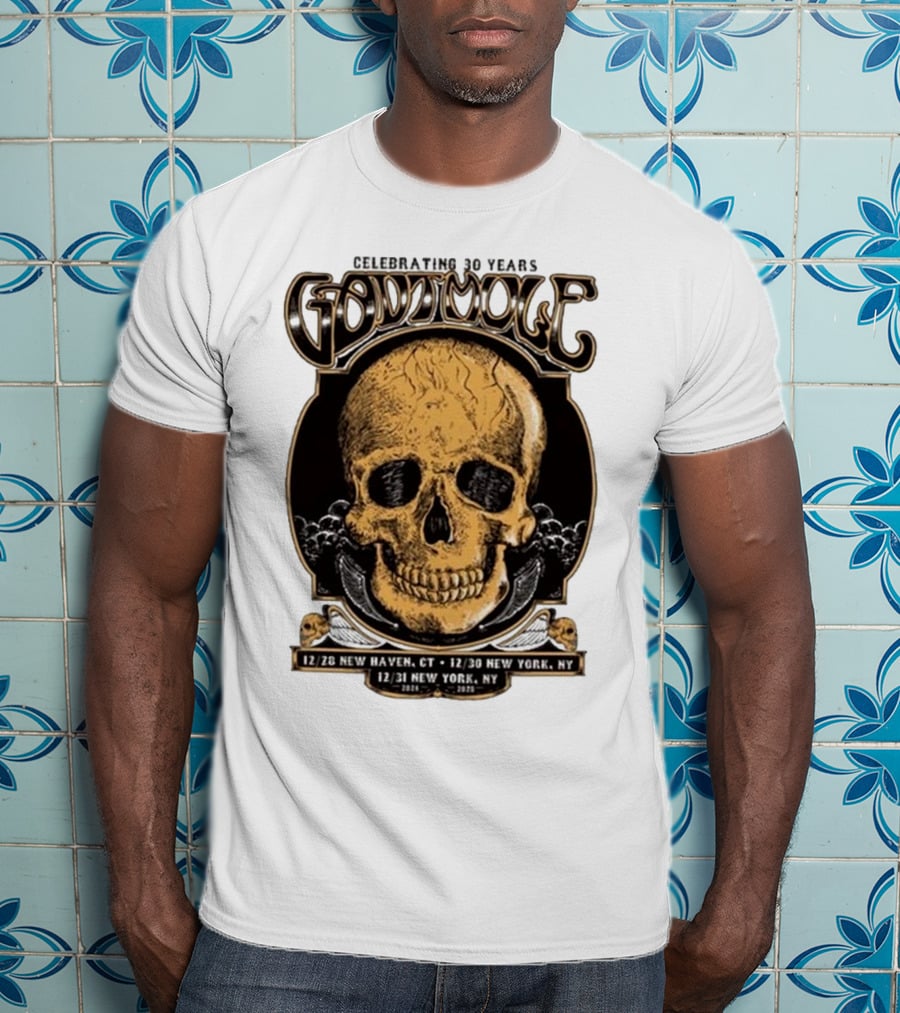 Celebrating 30 Years Gov’t Mule Skull Design Dec 28 New Haven CT Dec 30-31 New York NY T-Shirt
