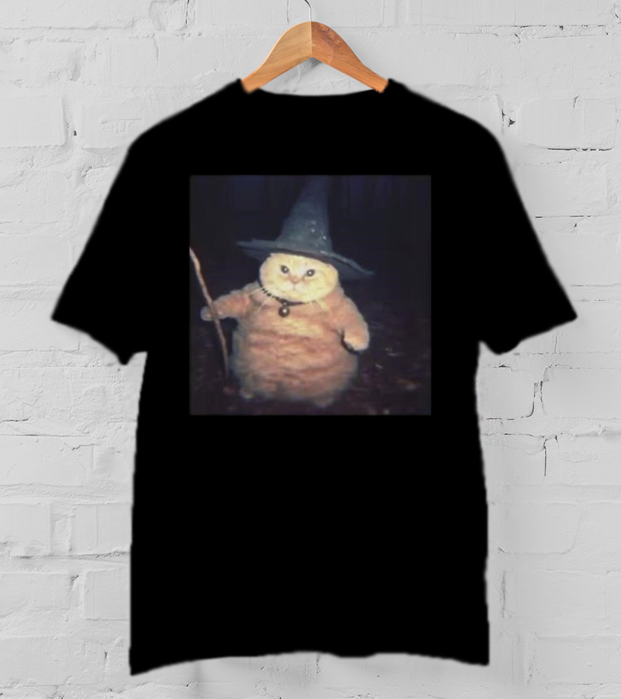Cheeseball The Wizard Cat Meme Wearing Witch Hat And Holding Wand T-Shirt