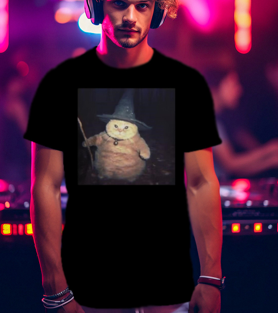Cheeseball The Wizard Cat Meme Wearing Witch Hat And Holding Wand T-Shirt
