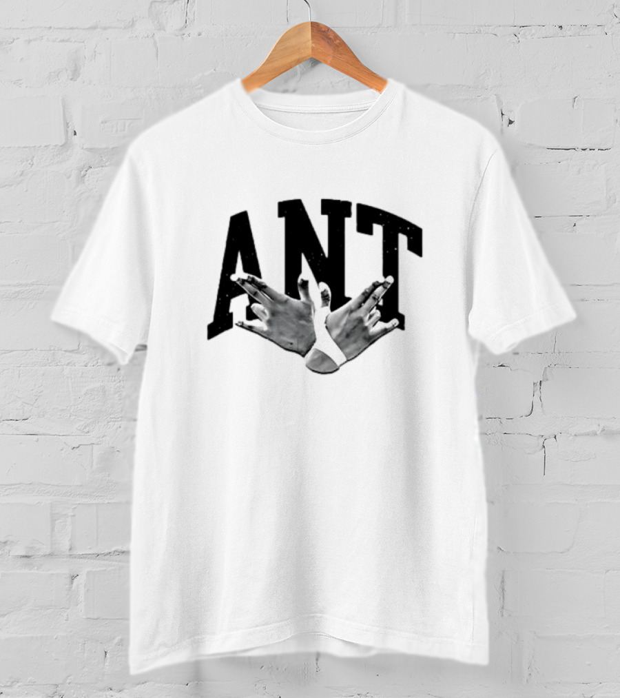 Hands Forming Heart Symbol With Ant Text T-Shirt