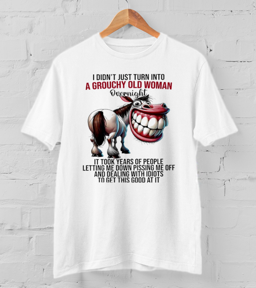 A Grouchy Old Woman Horse I Didn’t Just Turn Into Overnight T-Shirt