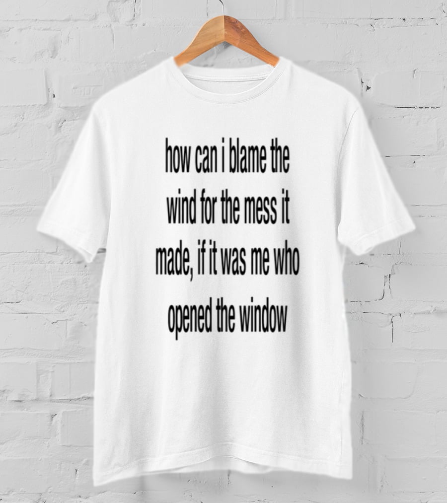 How Can I Blame The Wind For The Mess It Made Life On No Qualifications T-Shirt