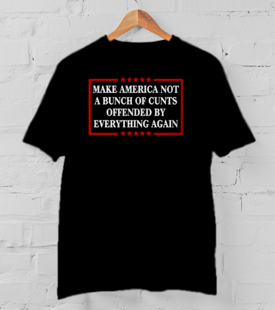 Make America Not A Bunch Of Cunts Offended By Everything Again Red Stars Frame T-Shirt