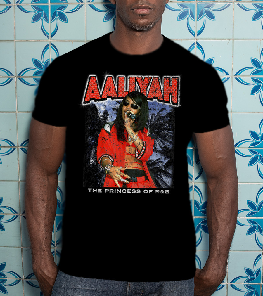 Aaliyah The Princess Of R&B Red Outfit Performance T-Shirt