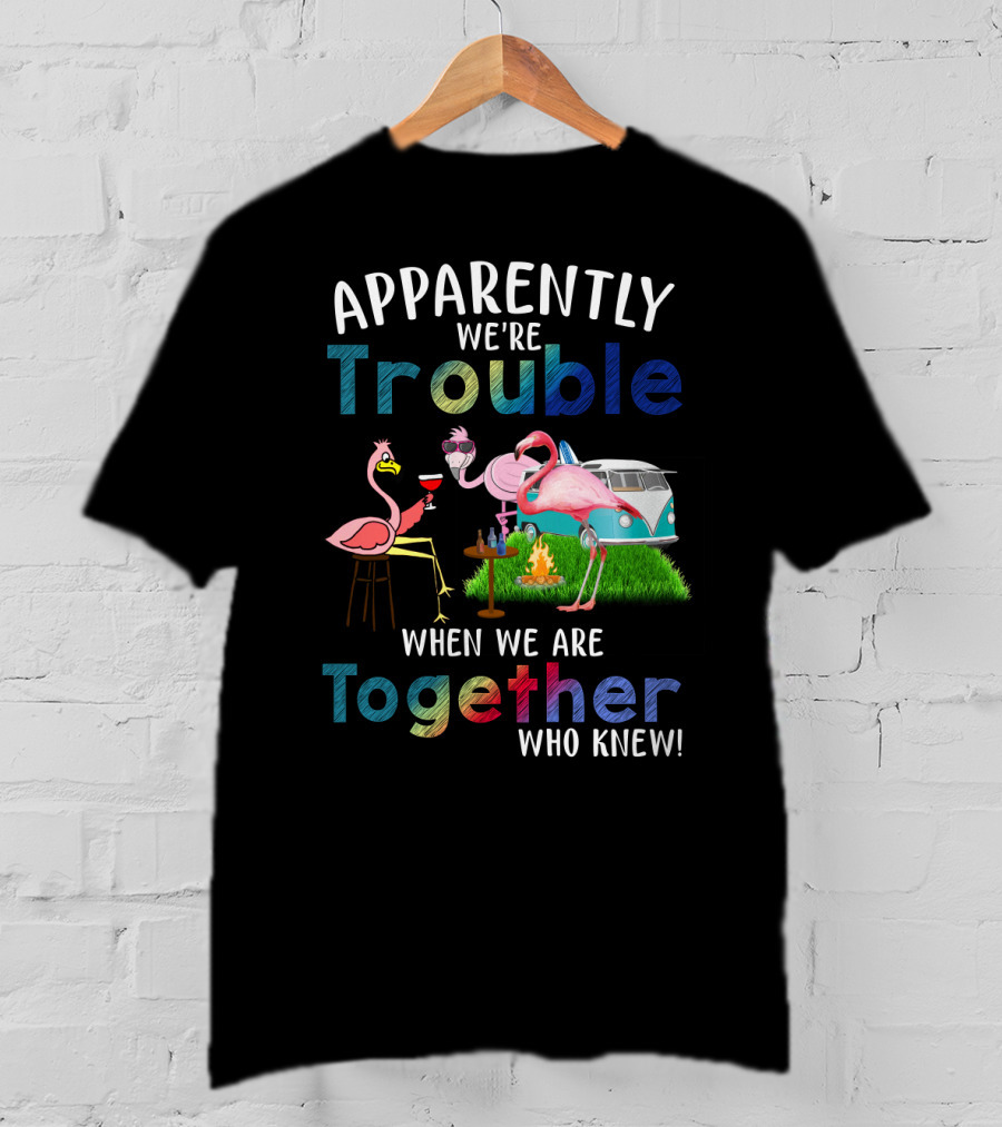 Apparently We're Trouble When We Are Together Flamingos Camping Van Campfire T-Shirt