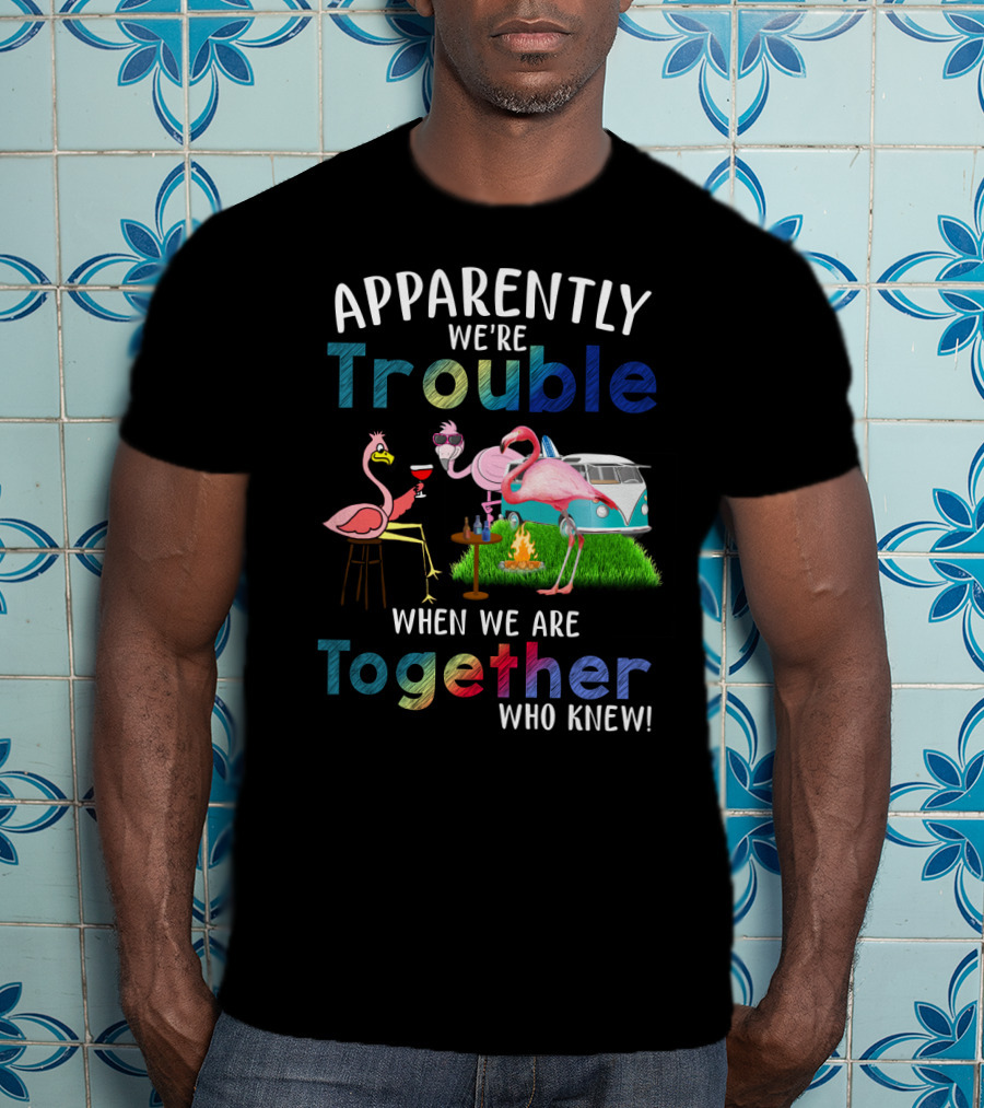 Apparently We're Trouble When We Are Together Flamingos Camping Van Campfire T-Shirt