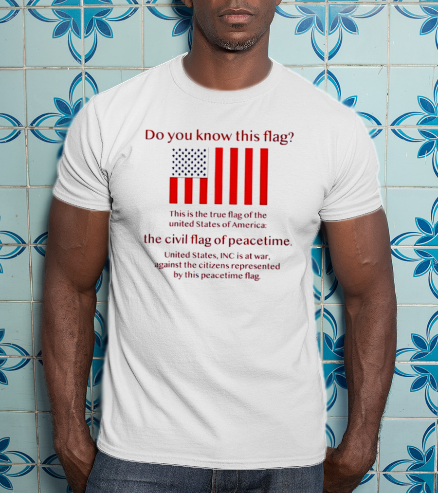 Do You Know This Flag True Flag Of The United States Civil Flag Of Peacetime United States INC At War Against Citizens T-Shirt