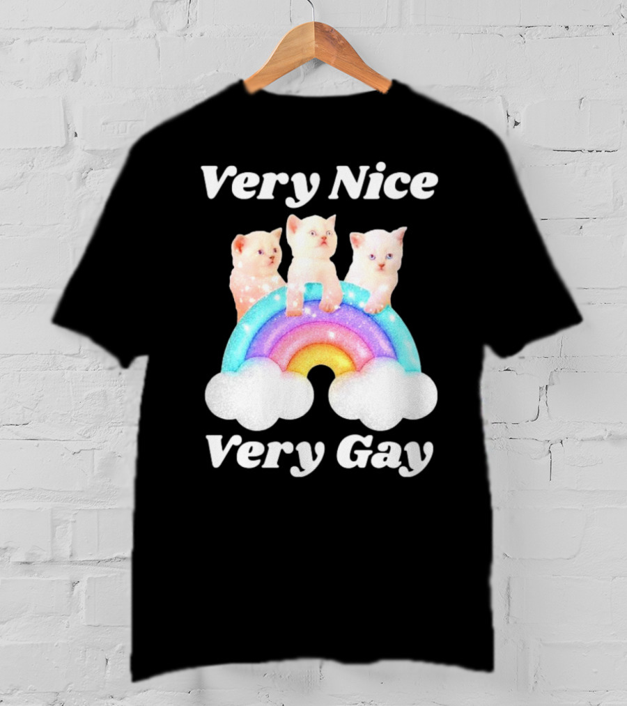 Very Nice Very Gay Cats On Rainbow T-Shirt