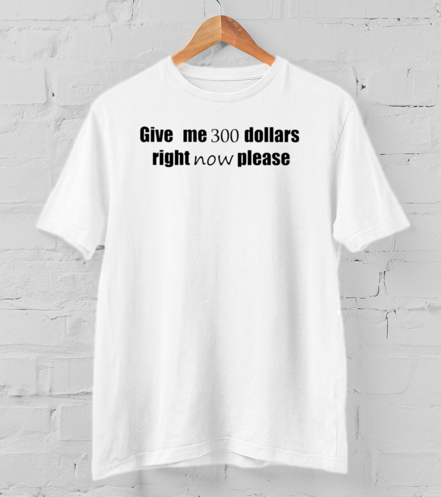 Give Me 300 Dollars Right Now Please T-Shirt
