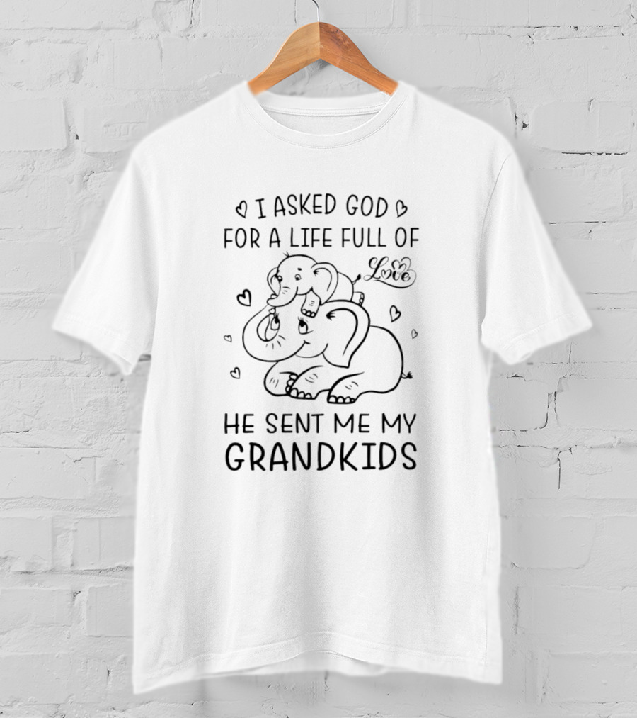 I Asked God For A Life Full Of Love He Sent Me My Grandkids Elephants Hearts T-Shirt