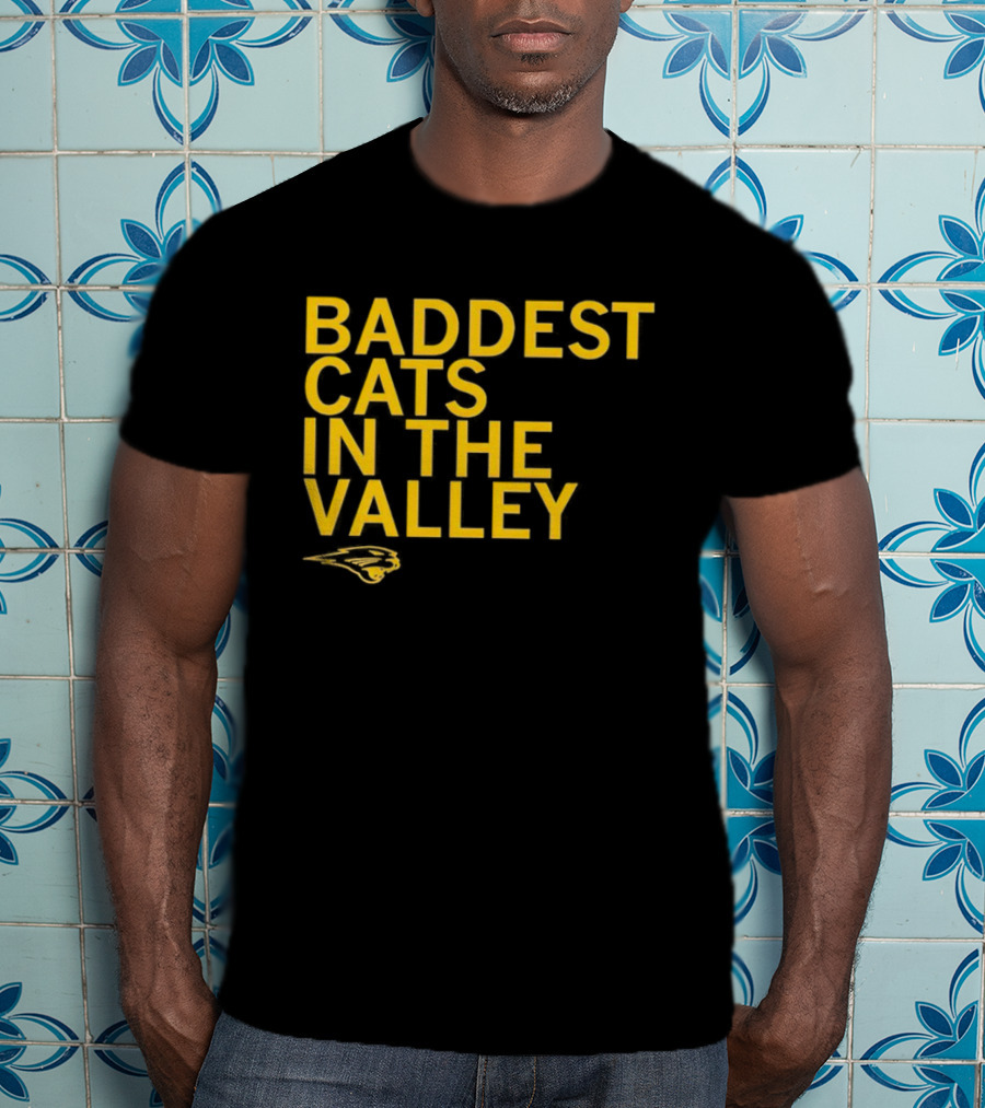 Baddest Cats In The Valley Northern Iowa Panthers T-Shirt