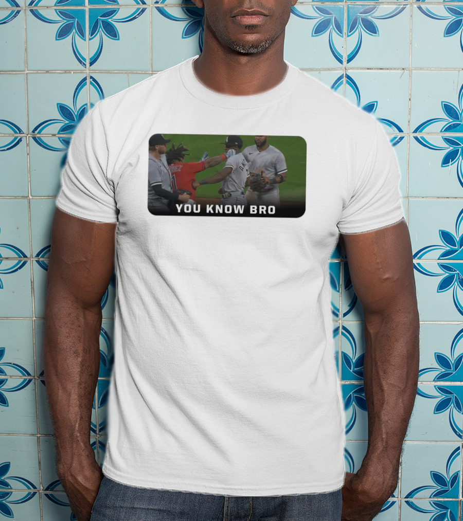 Down Goes Anderson You Know Bro Baseball Encounter Moment T-Shirt
