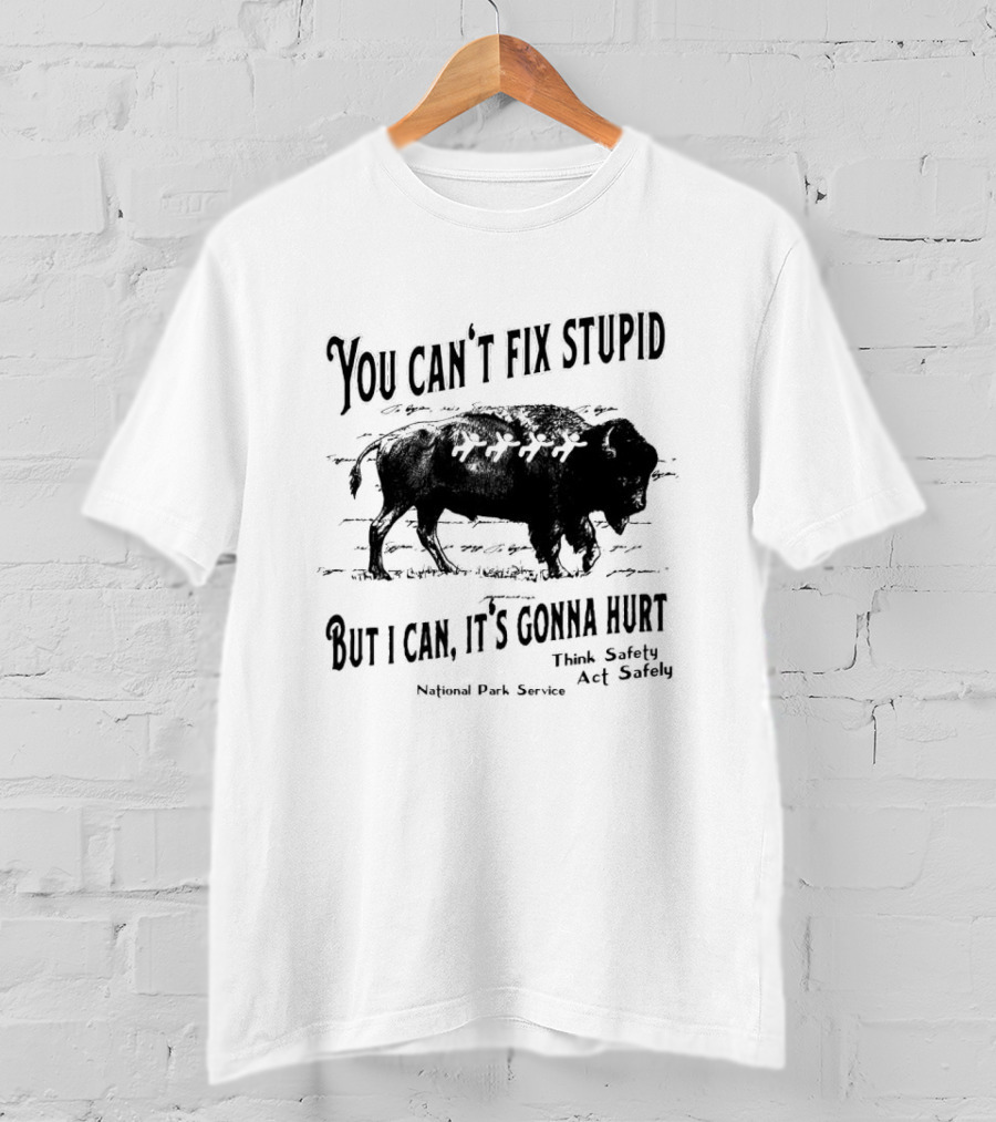 You Can't Fix Stupid But I Can, It's Gonna Hurt Think Safety Act Safely National Park Service T-Shirt