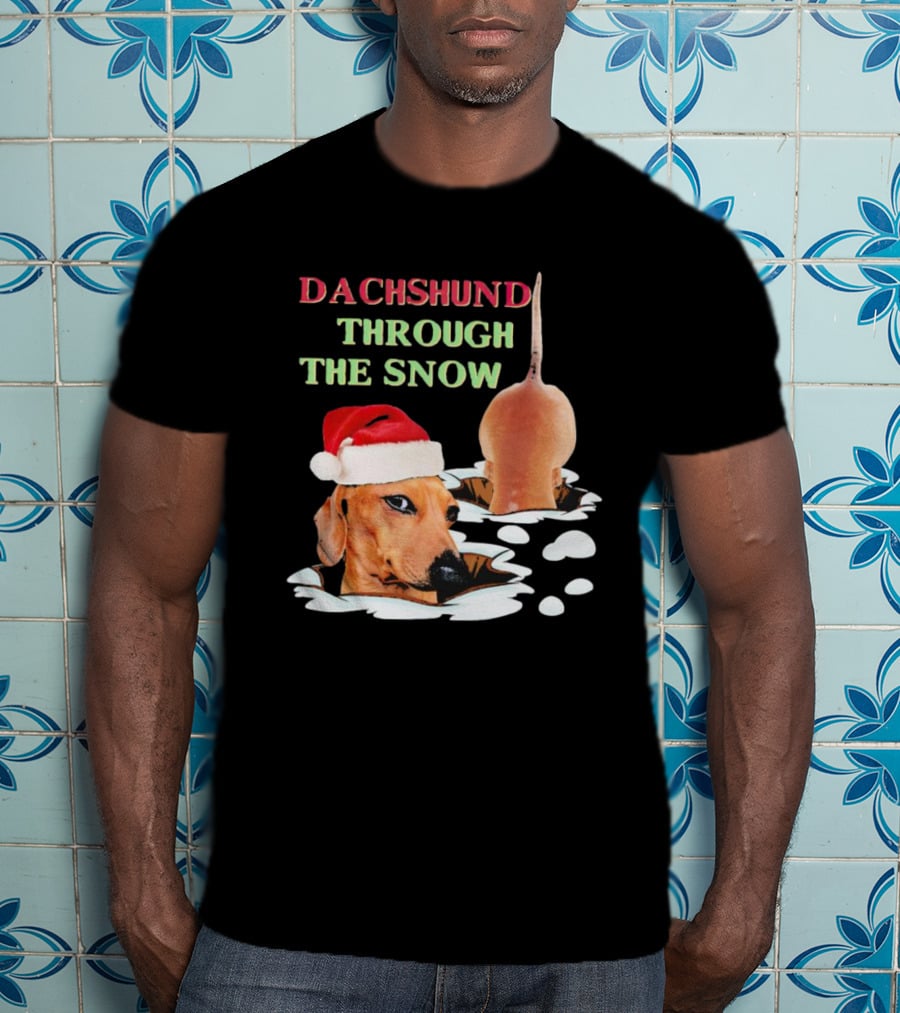 Dachshund Through The Snow Santa Hat Dog And Snow Bubbles T-Shirt