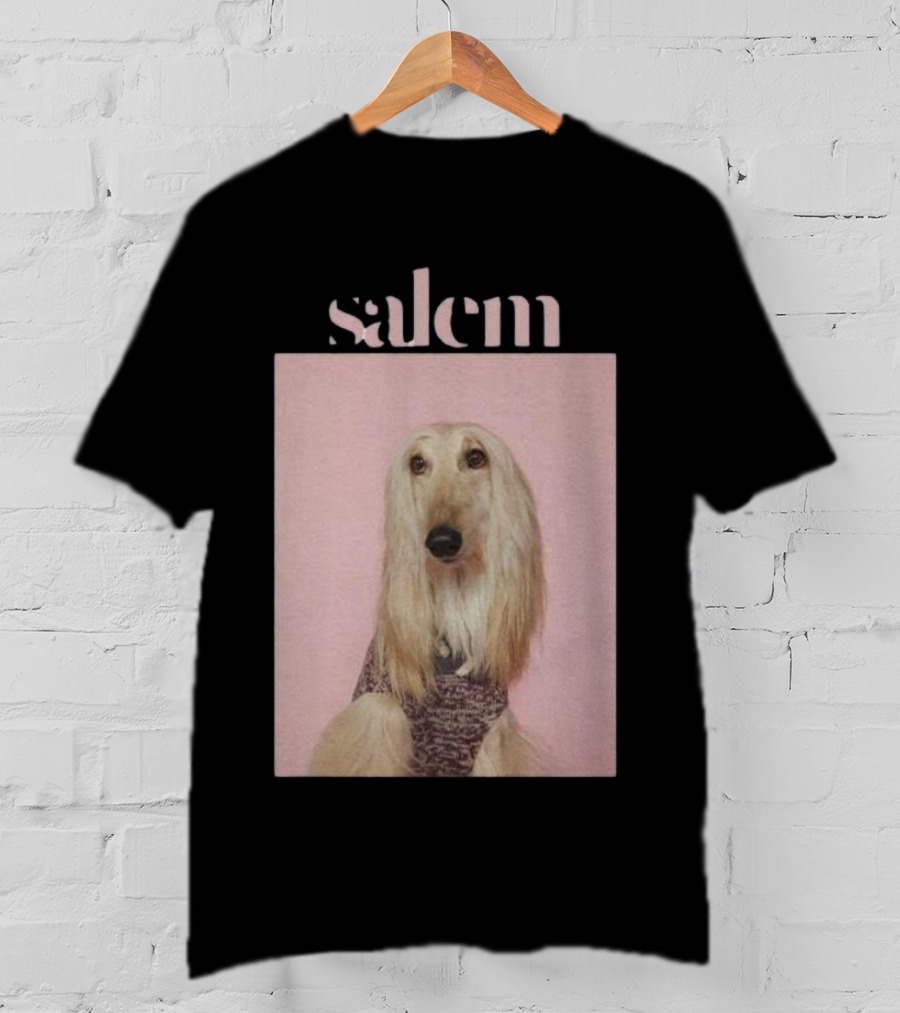Salem Ilese Dog Afghan Hound Portrait On Pink Background T-Shirt