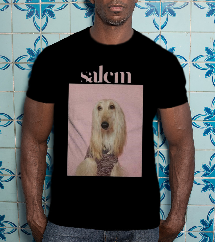 Salem Ilese Dog Afghan Hound Portrait On Pink Background T-Shirt