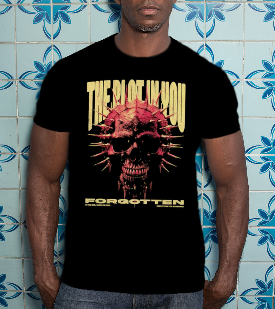 The Plot In You Forgotten Skull Hope It Was For Something T-Shirt