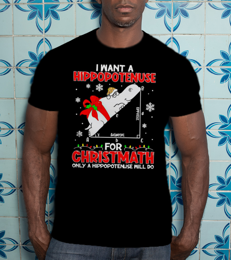 I Want A Hippopotenuse For Christmath Christmas Only A Hippopotenuse Will Do T-Shirt