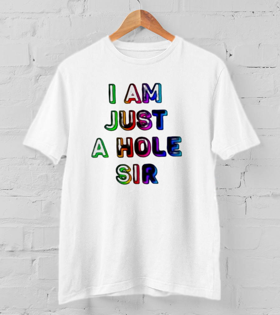 I Am Just A Hole Sir T-Shirt