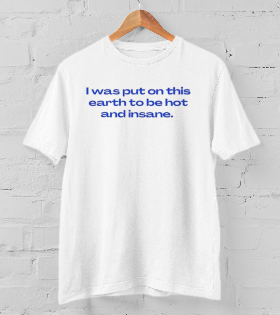 I Was Put On This Earth To Be Hot And Insane T-Shirt