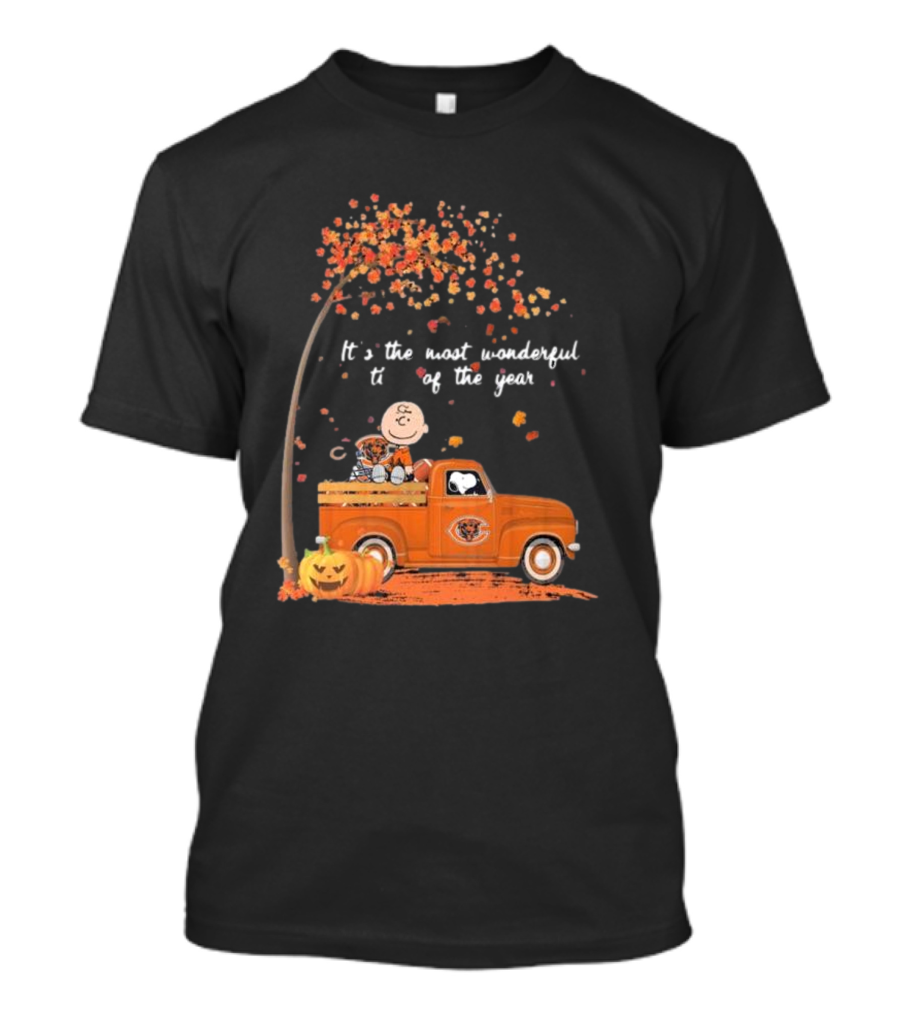 Charlie Brown Snoopy Chicago Bears Wonderful Time Of The Year T-Shirt