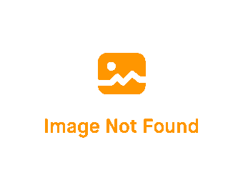 Evergreen Geoducks Let It All Hang Out T-Shirt