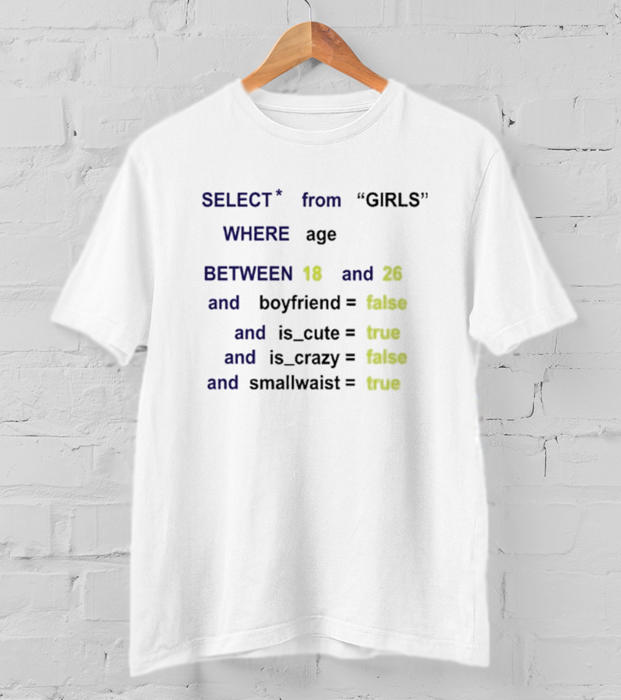 Funny SQL Query Select From GIRLS Where Age Between 18 And 26 Boyfriend False Is Cute True Is Crazy False Smallwaist True T-Shirt