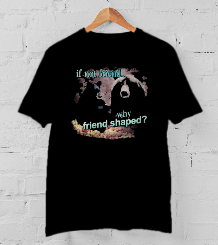 If Not Friend Why Friend Shaped Bear T-Shirt