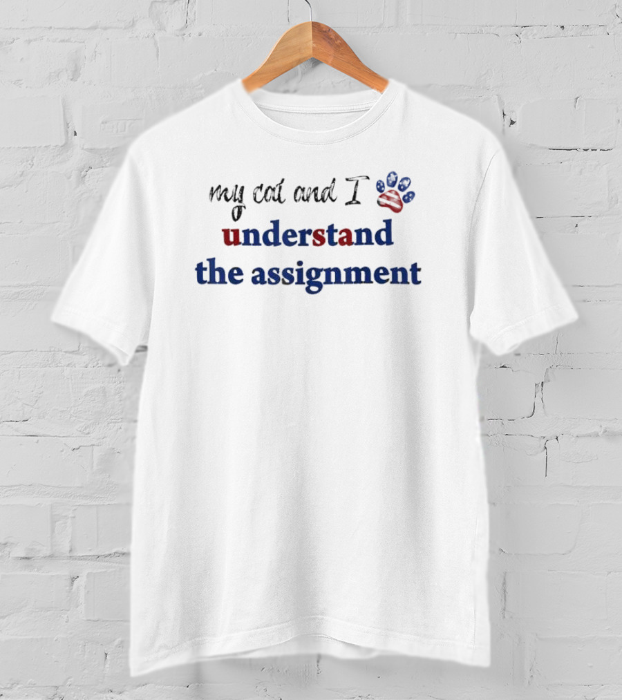 My Cat And I Understand The Assignment American Flag Paw Prints T-Shirt
