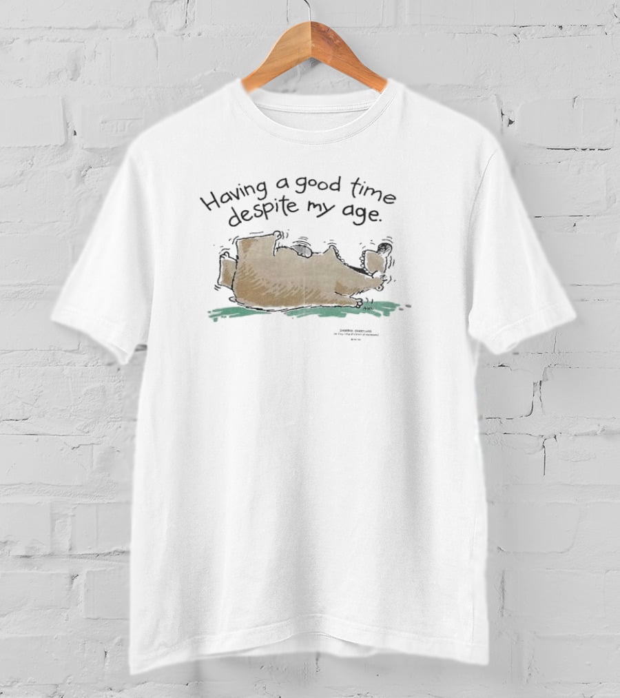 Having A Good Time Despite My Age Funny Bear Relaxing T-Shirt