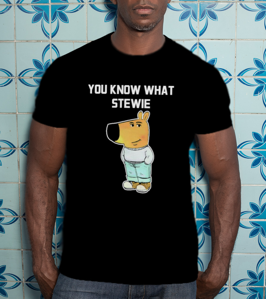 You Know What Stewie Chill Guy Sweater Cartoon T-Shirt