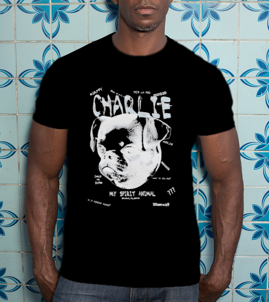 Charlie Griffon My Spirit Animal ??? Zen Surrendering Grumpy T-Shirt
