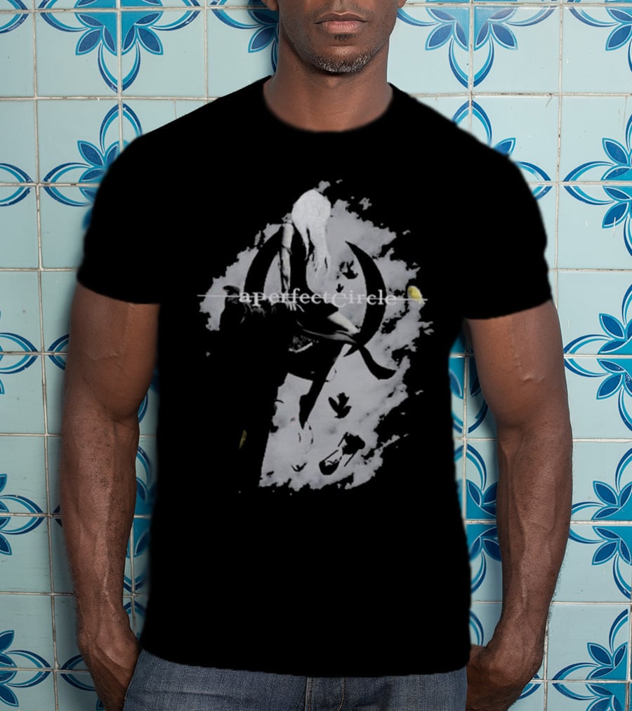 A Perfect Circle Grunge Style Angel Figure With Crescent T-Shirt